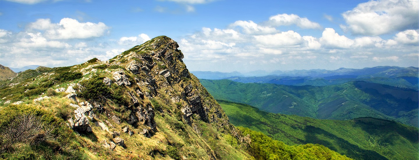 За региона
