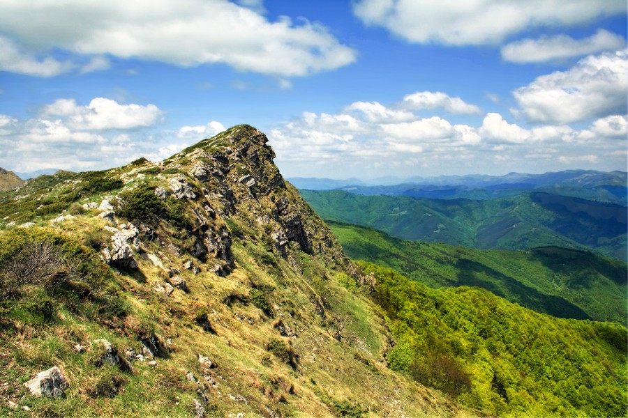 За региона